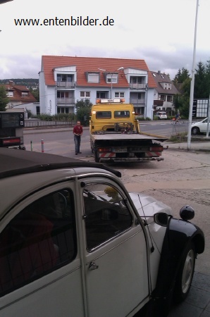 IMAG0135.jpg