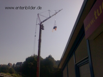 Ententag17.jpg