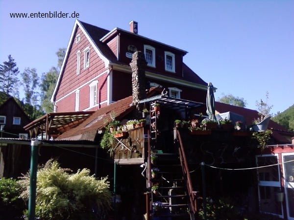 P03-06-10_18.34.jpg