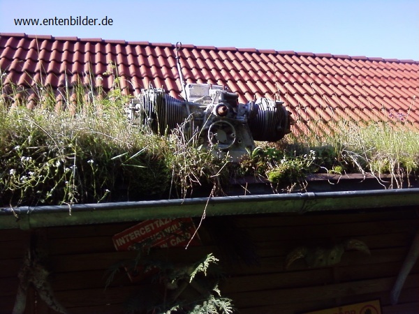 P03-06-10_18.36.jpg