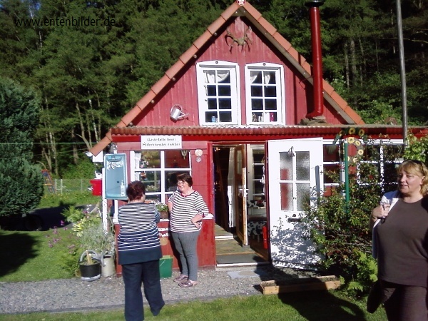 P03-06-10_18.45.jpg