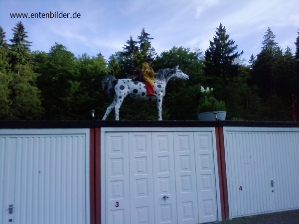P05-06-10_19.18.jpg