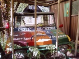 P05-06-10_17.01.jpg