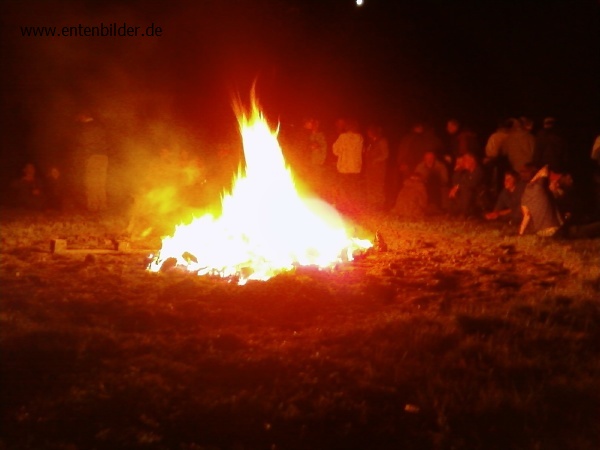 P29-05-09_23.48.jpg