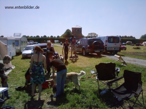 P23-05-10_11.39.jpg